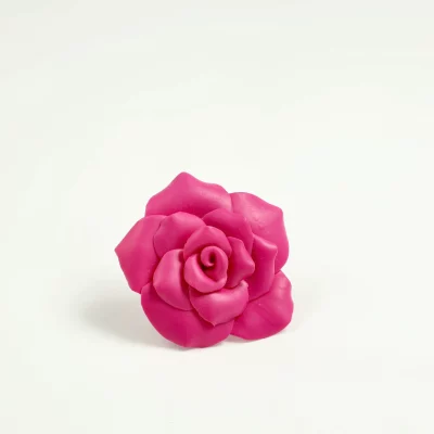 Anillo Rosarosae